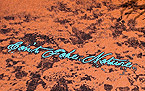 Can't Fake Nature EP cover